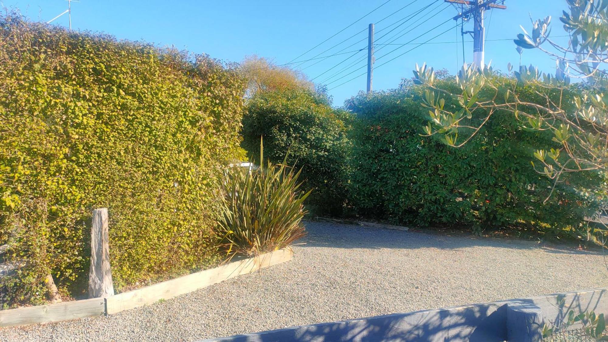Tui Cottage Martinborough Kültér fotó